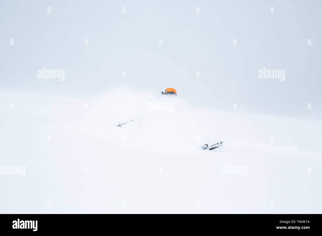 Sci Backcountry in Giappone, una giovane donna si trasforma attraverso la polvere così profondo ella è quasi completamente perso in teh snowy scena. Solo il suo casco, pole e sci Foto Stock