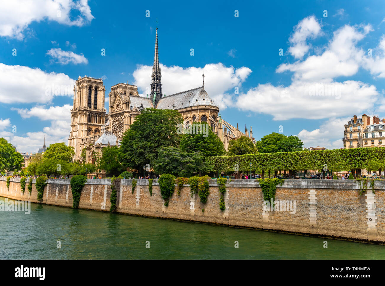 Notre Dame de Paris Cathedral, più bella cattedrale di Parigi. Francia Foto Stock