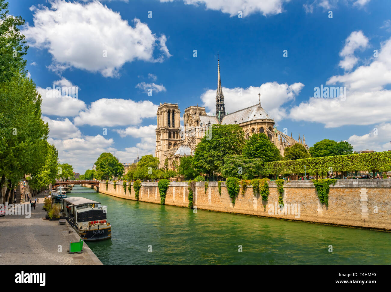 Notre Dame de Paris Cathedral, più bella cattedrale di Parigi. Francia Foto Stock