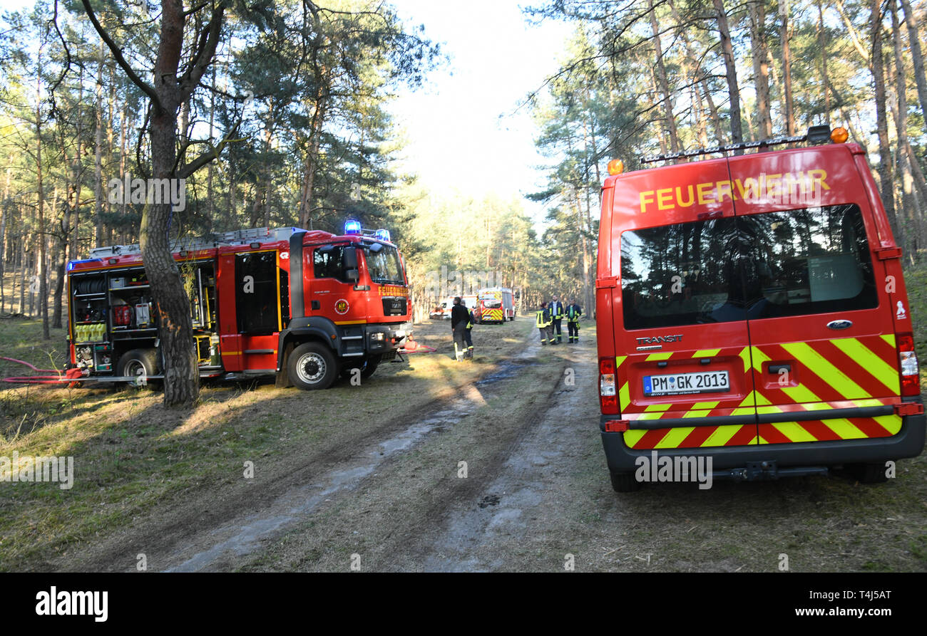 17 aprile 2019, il Land Brandeburgo, Groß Kreutz: In una zona di foresta vicino Groß Kreutz (distretto Potsdam-Mittelmark) ci sono motori antincendio dei vigili del fuoco. I vigili del fuoco è stata in grado di contenere il fuoco, come un portavoce per la situazione nel centro di Potsdam detto in serata. Circa 300 metri quadri di foresta avrebbe preso fuoco. Foto: Julian Stähle/dpa-Zentralbild/dpa Foto Stock