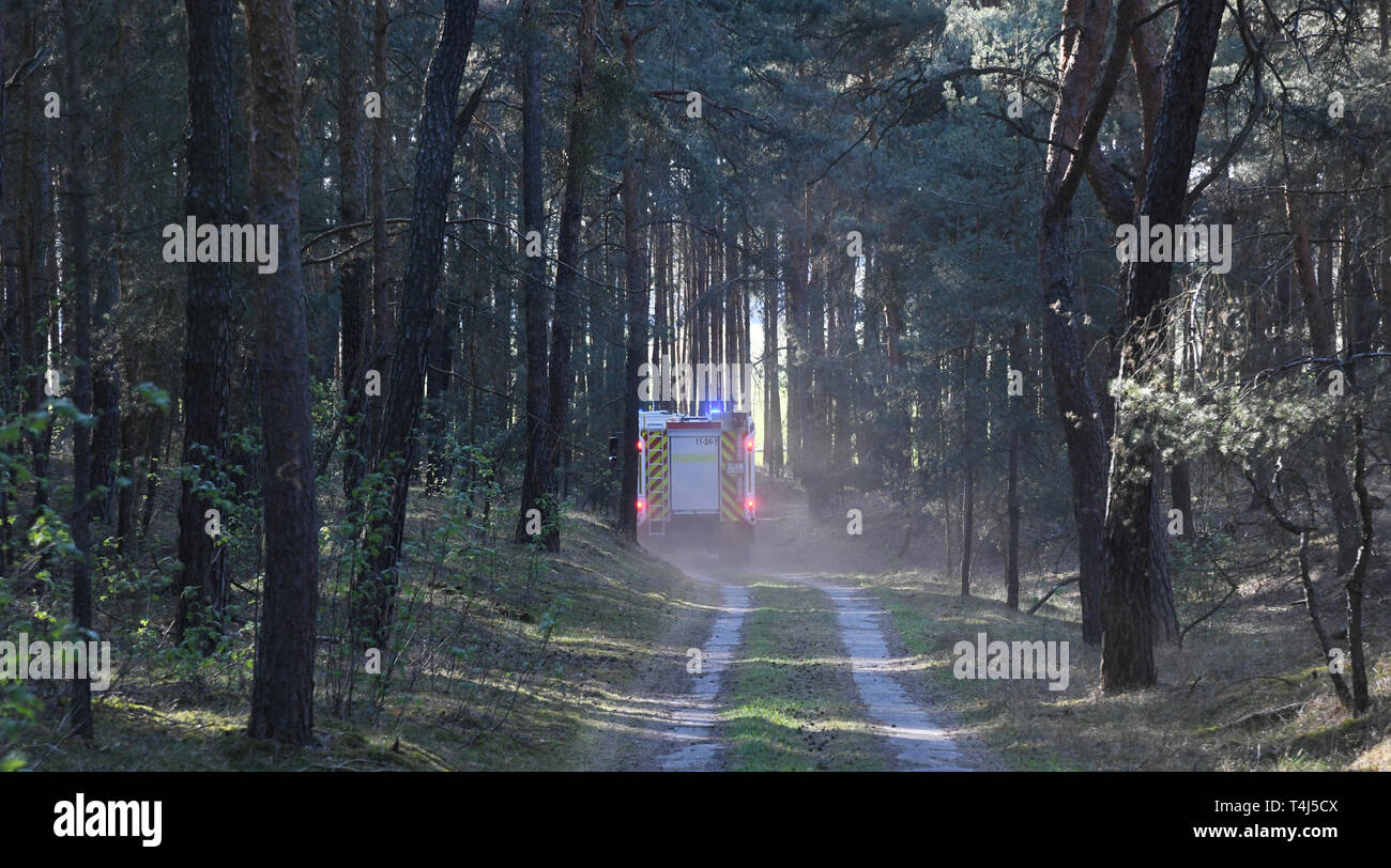 17 aprile 2019, il Land Brandeburgo, Groß Kreutz: In una zona di foresta vicino Groß Kreutz (distretto Potsdam-Mittelmark) incendio motore aziona lungo un sentiero forestale. I vigili del fuoco è stata in grado di contenere il fuoco, come un portavoce per la situazione nel centro di Potsdam detto in serata. Circa 300 metri quadri di foresta avrebbe preso fuoco. Foto: Julian Stähle/dpa-Zentralbild/dpa Foto Stock