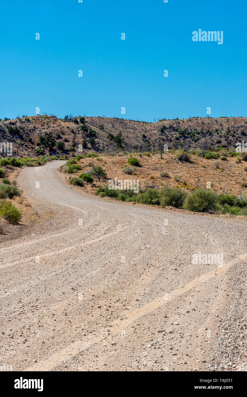 Backcountry strada sterrata che conduce attraverso il paesaggio del deserto sotto i cieli blu. Foto Stock