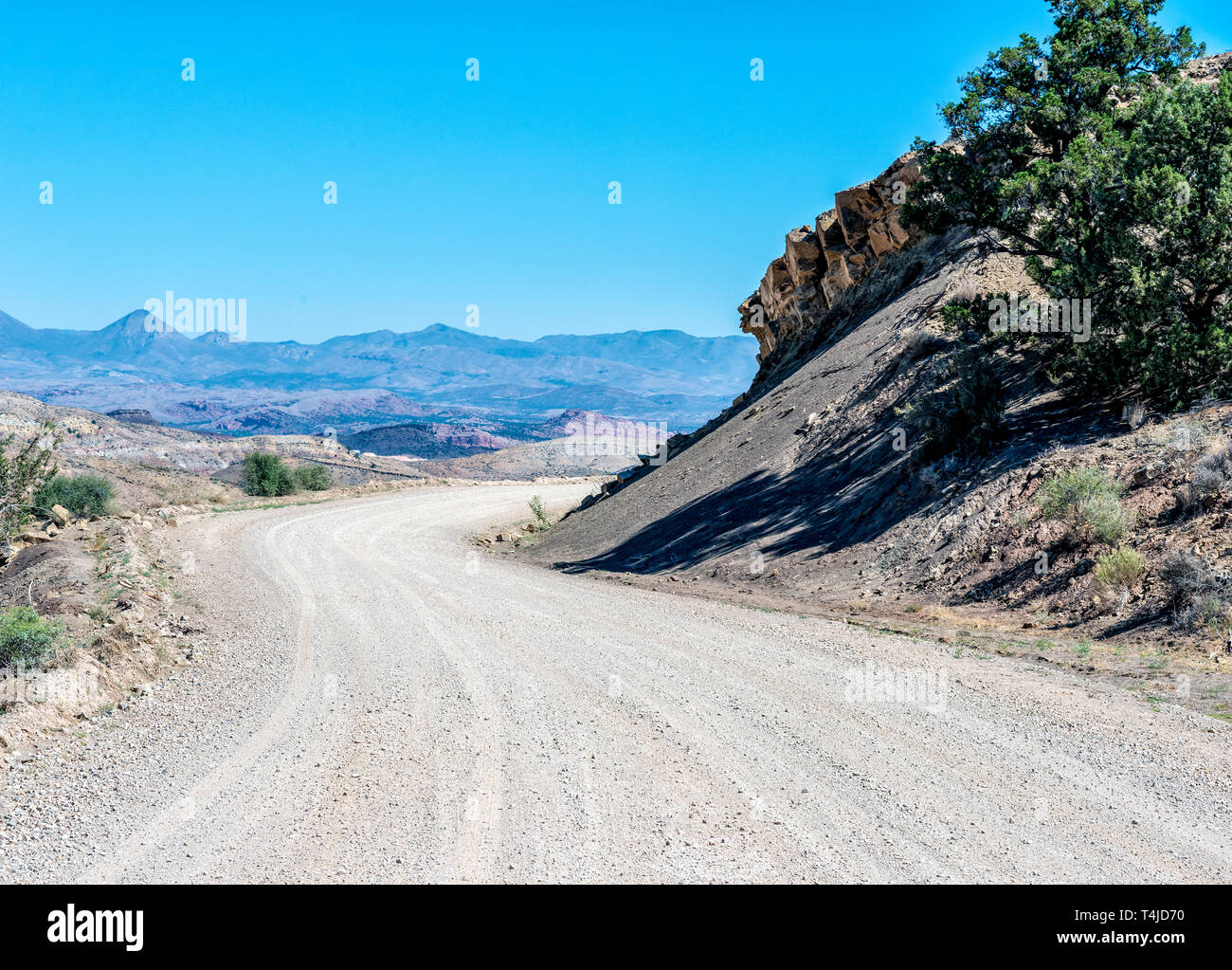 Strada sterrata curvatura intorno all collina con verdi alberi nel paesaggio del deserto sotto un luminoso cielo blu. Foto Stock