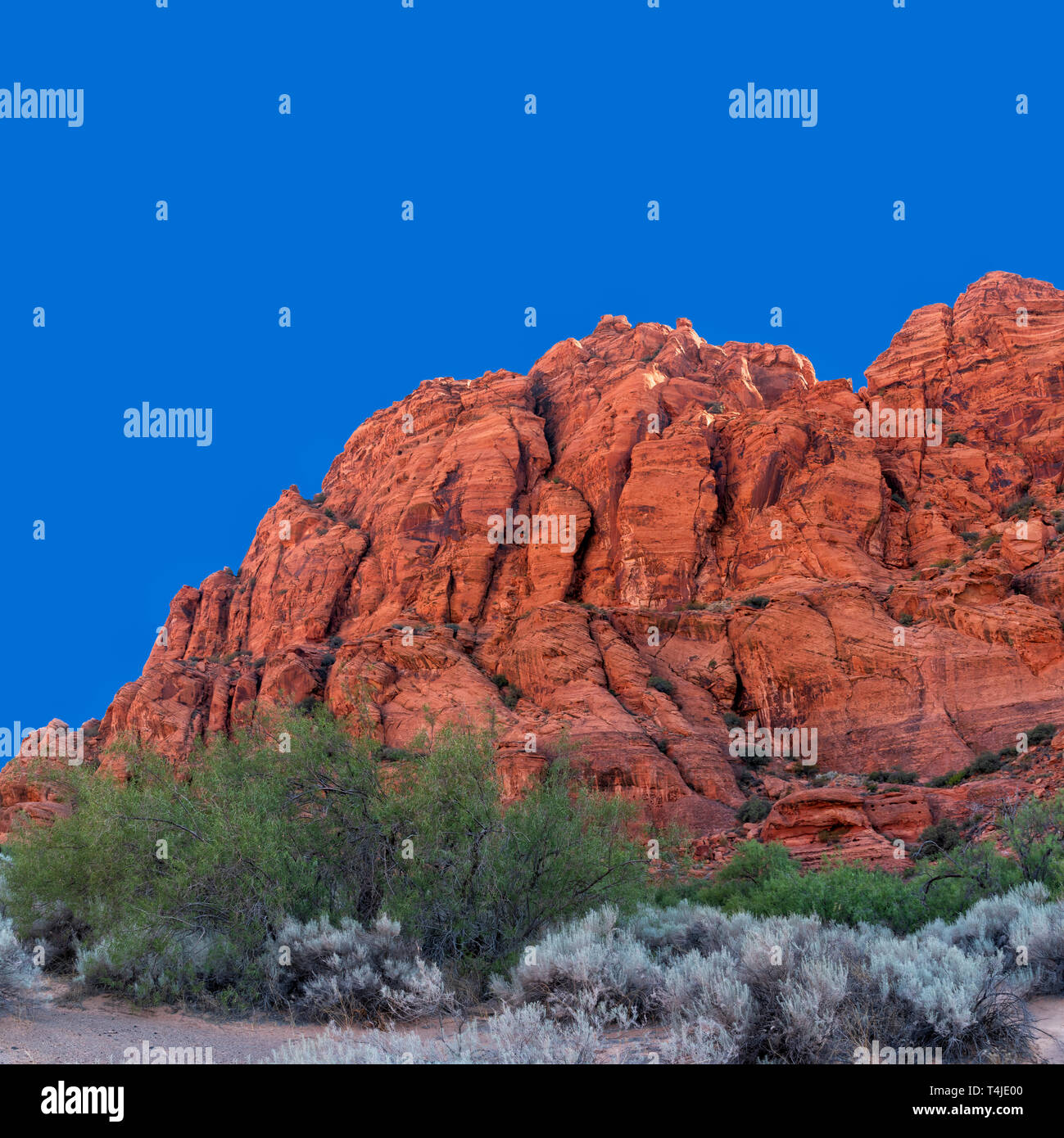 Spazzola di salvia e il verde degli alberi del deserto con Arancione rossastro ruvida sterile montagna rocciosa sotto il luminoso cielo blu. Foto Stock