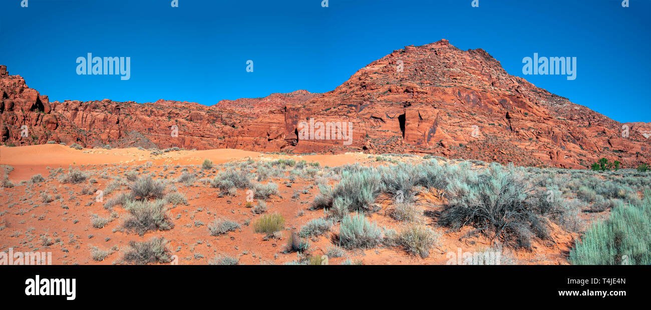 Panoramica di sagebrush, con dune di sabbia arancione dando modo a tall Red Rock Canyon verticale parete sotto un cielo blu. Foto Stock