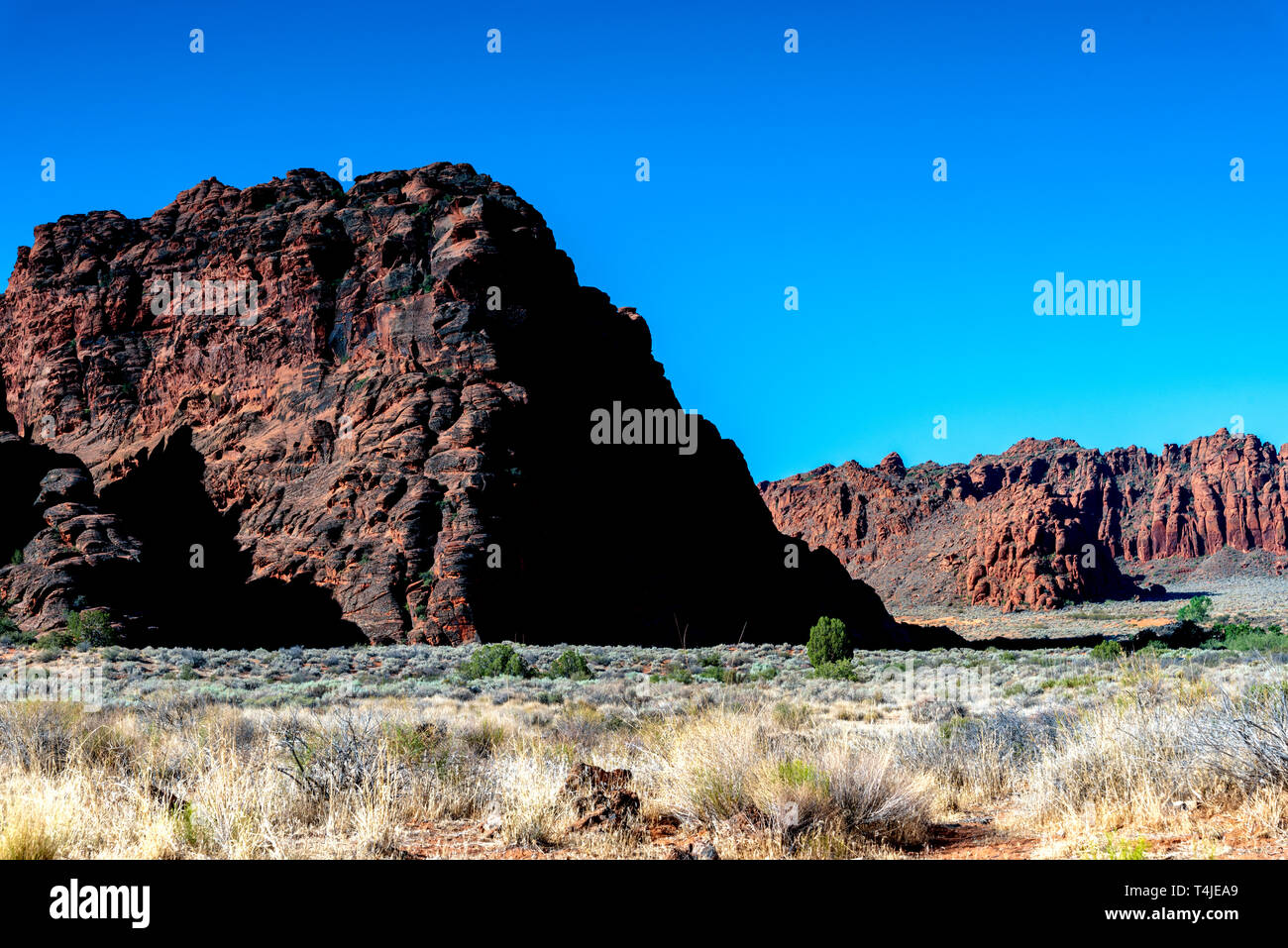Vasto deserto campi di sagebrush e cespugli verdi con alte e ripide rossastro formazioni rocciose e montagne sotto un cielo blu. Foto Stock