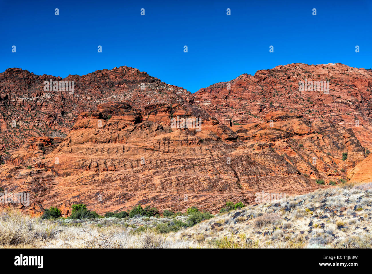 Piccolo deserto colline coperte di sagebrush con alberi verdi alla base od un ripido rosso arancio canyon parete di roccia sotto un cielo blu. Foto Stock