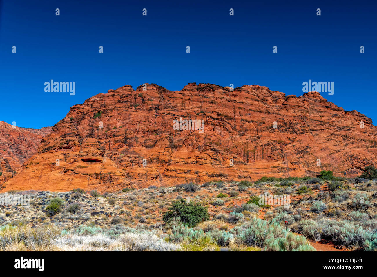 Cielo blu scuro, con ripidi red roccioso canyon parete sottostante con cespugli verdi e sagebrush. Foto Stock