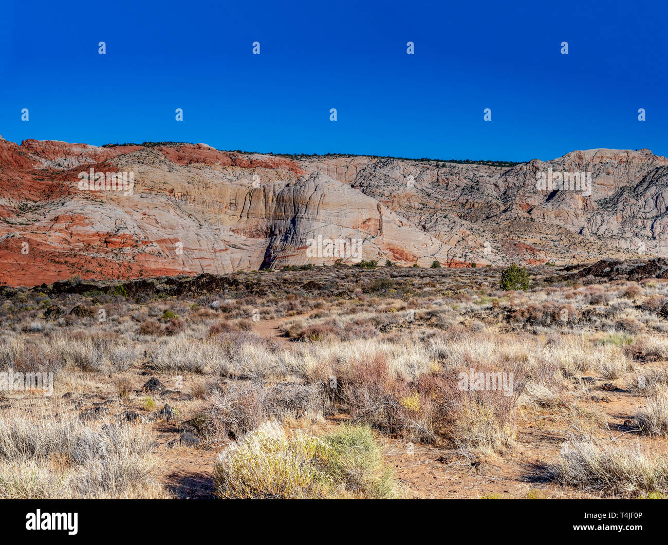 Morto a spazzola del deserto in campi di sabbia che conduce fino a rosso e bianco ripidi canyon aride pareti rocciose sotto un cielo blu chiaro. Foto Stock