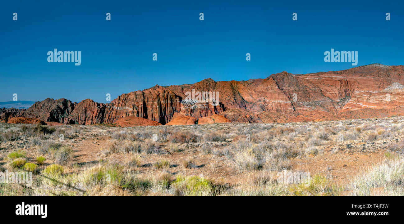 Panoramica valle del deserto con cespugli verdi e pennello asciutto, rosso Montagne Rocciose sotto un cielo blu. Foto Stock