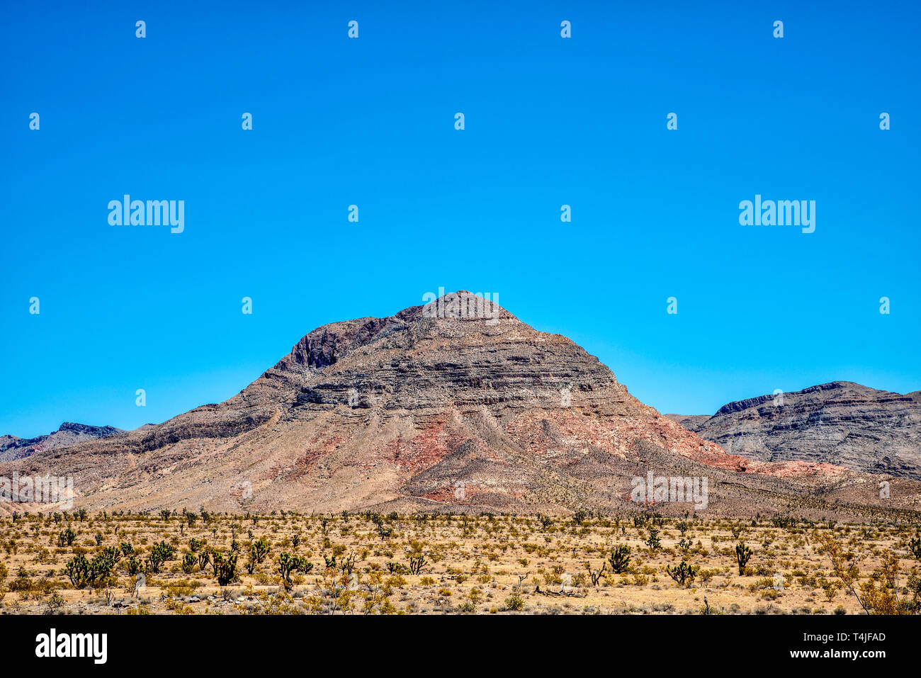 Deserto con pennello e cactus, rossastro rocciose montagne brulle sotto il cielo blu chiaro. Foto Stock