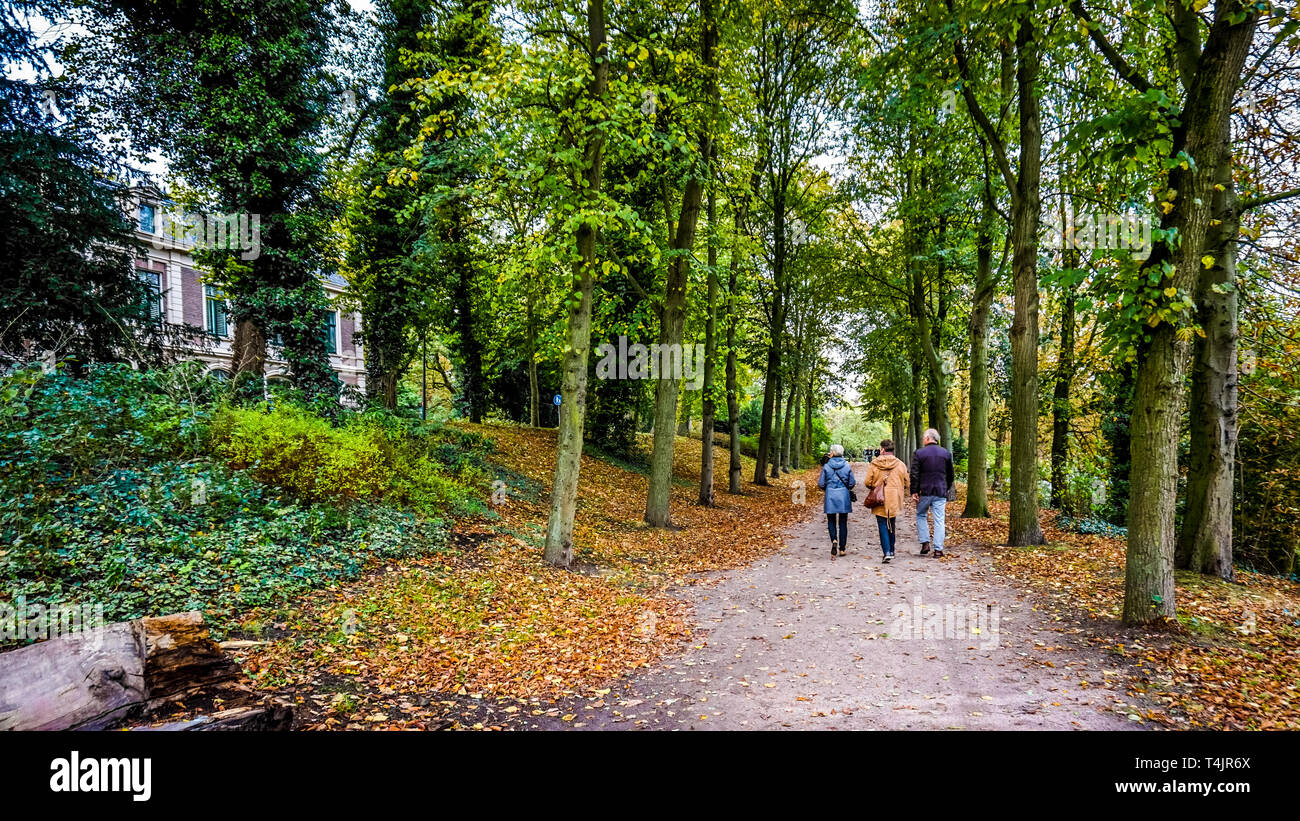 Passeggiando per il parco lungo la riva del Stadsgracht nella storica città anseatica di Zwolle in Olanda Foto Stock