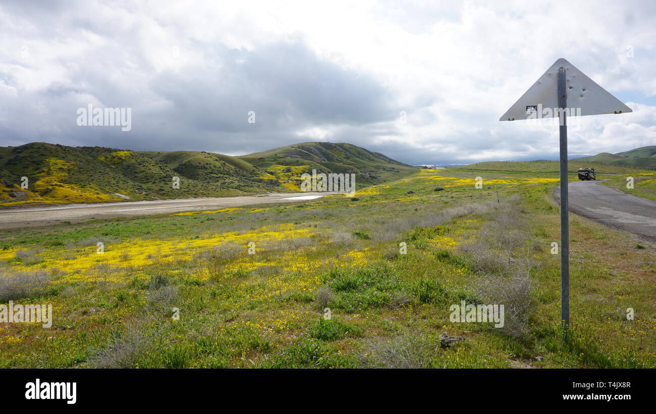 California Goldenfields o Lasthenia californica. Super Bloom 2019, Carizzo Plain monumento nazionale, CALIFORNIA, STATI UNITI D'AMERICA Foto Stock
