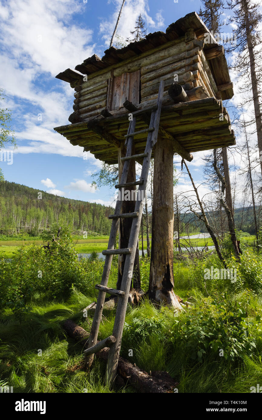 Un piccolo edificio su un palo. Paesaggio con casa di caccia. La Siberia, Russia Foto Stock