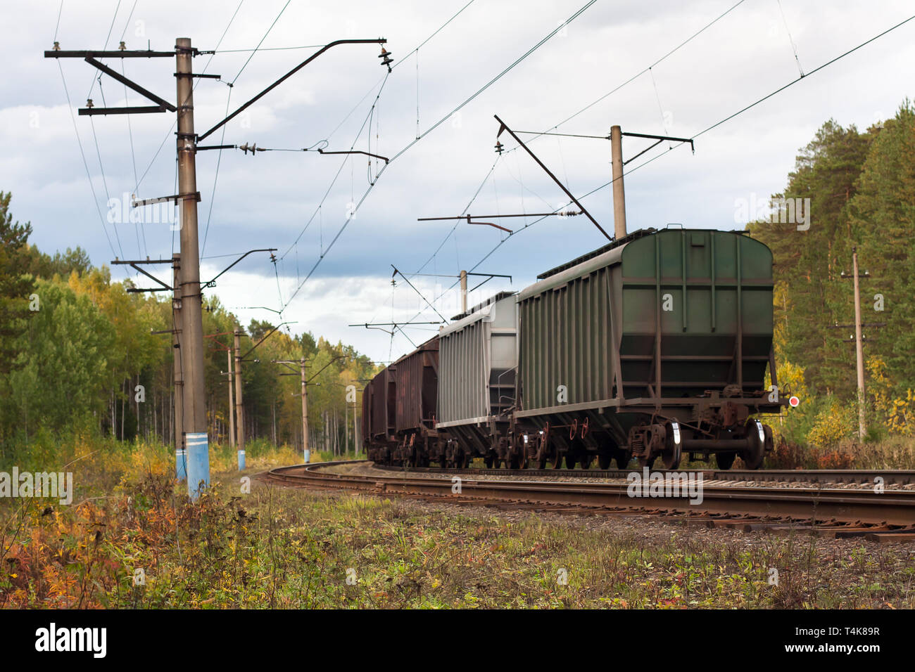 Gli ultimi vagoni del treno merci lasciano il binario ferroviario nella foresta di autunno Foto Stock