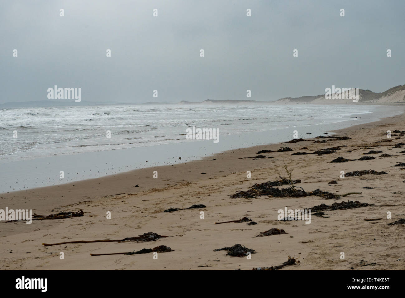 Spiaggia di Druridge Bay, Northumberland, Regno Unito Foto Stock