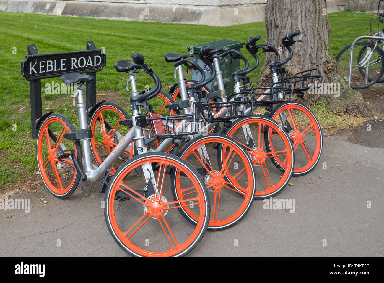 Una linea di argento distintivo e orange Mobike dockless biciclette a noleggio in Oxford, Regno Unito Foto Stock