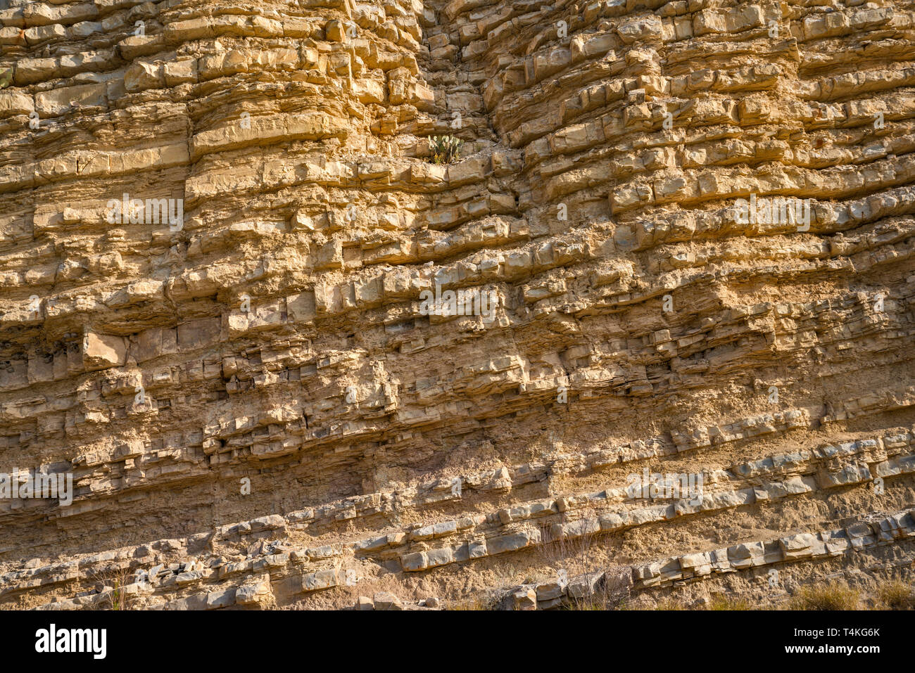 Il calcare e gli strati di roccia argillosa di Boquillas formazione vicino alle sorgenti calde, parco nazionale di Big Bend, Texas, Stati Uniti d'America Foto Stock