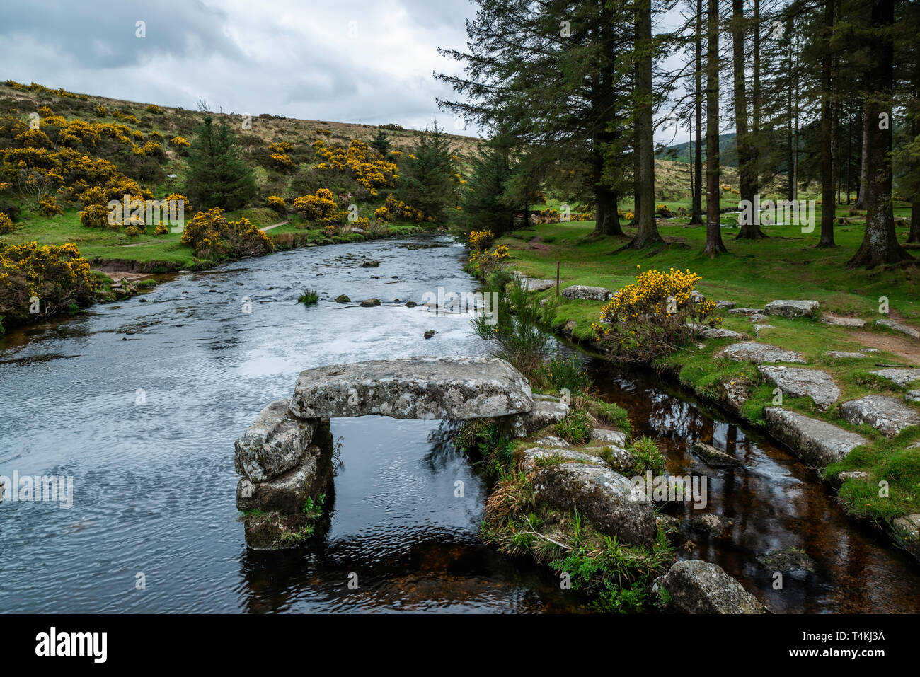 Oriente Dart River nel Parco Nazionale di Dartmoor nel Devon in Inghilterra Foto Stock