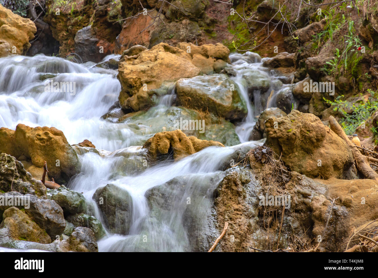 Piccole cascate di cascate in un torrente di montagna in primavera. Parod  fiume. Israele. Paesaggio Foto stock - Alamy