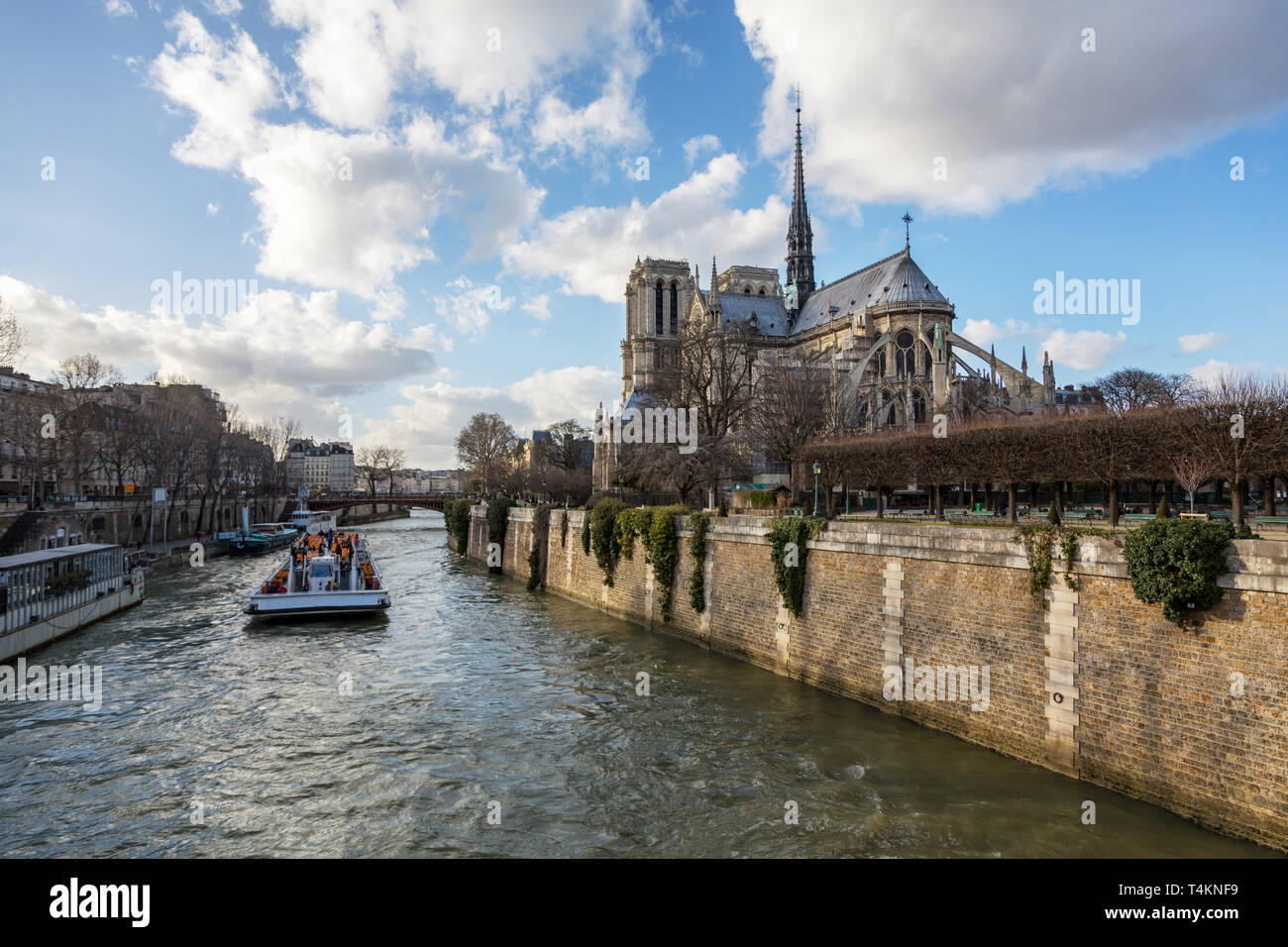 La cattedrale di Notre Dame a Parigi. Vista la primavera della elevazione posteriore con cuspide posteriore e archi rampanti, presa attraverso il fiume Senna. Foto Stock