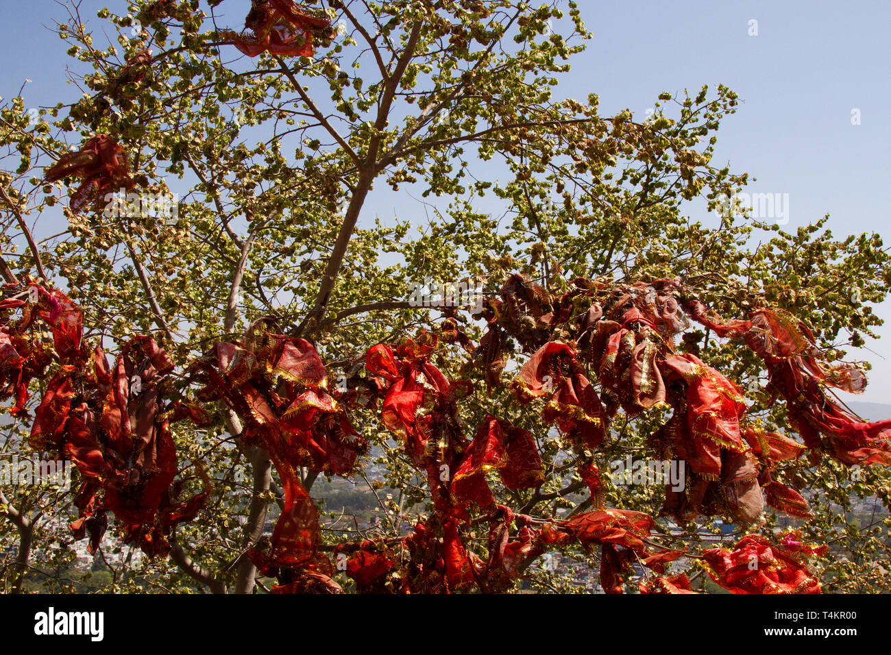 Fazzoletti rossi immagini e fotografie stock ad alta risoluzione - Alamy