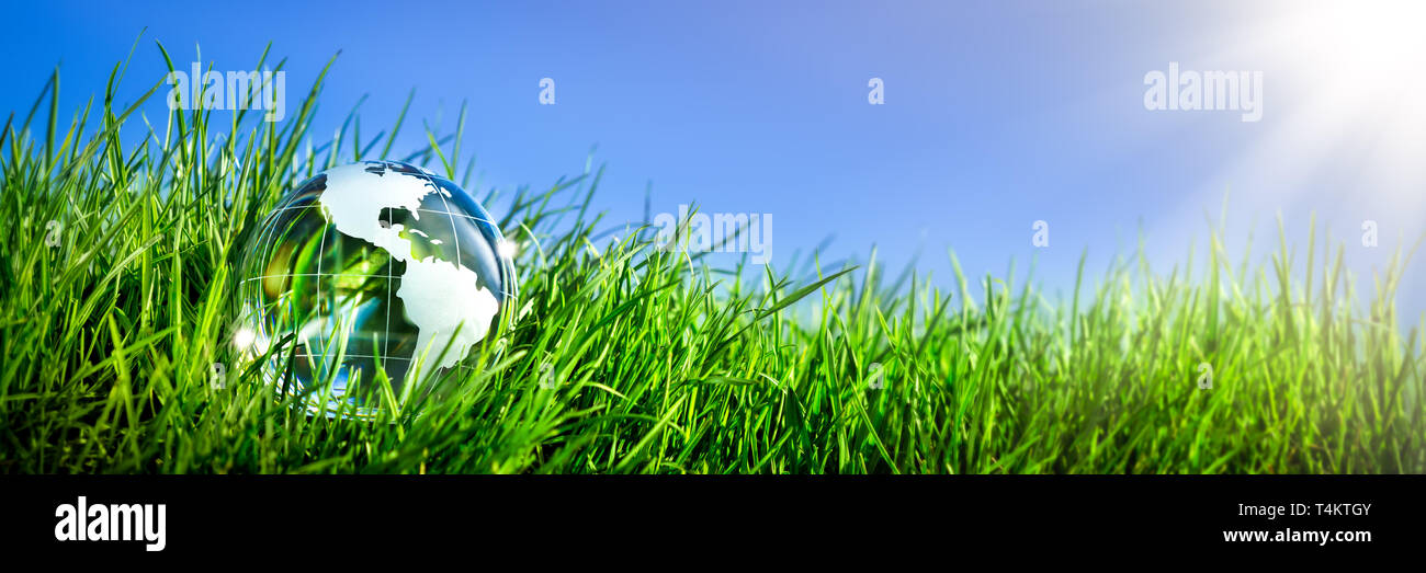 Terra di cristallo in erba con cielo azzurro e sole - Ambiente pulito / concetto di ecologia Foto Stock