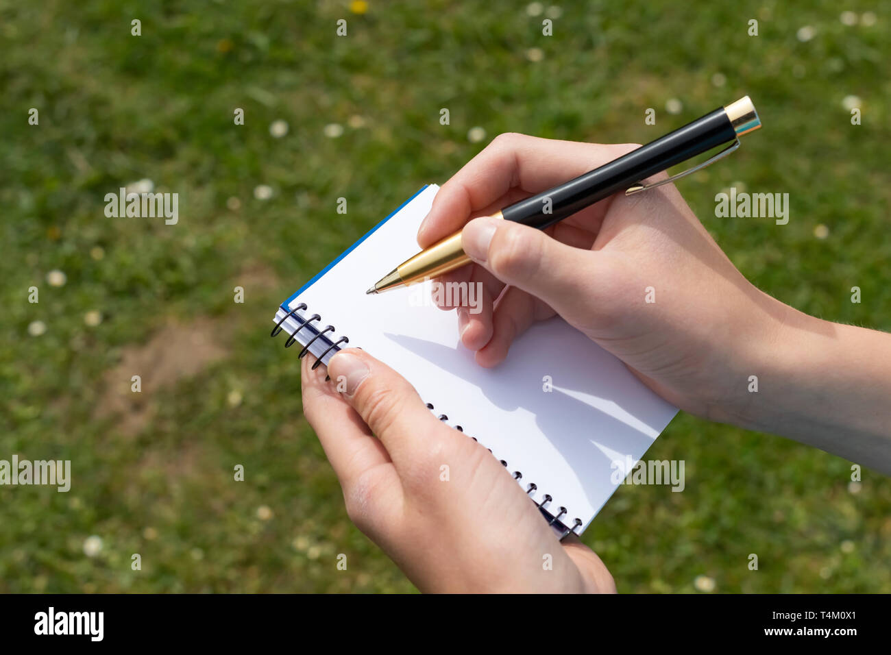 Disegno Di Una Mano Con Fiori Ed Erba Concetto Per Mantenere La Natura Verde E Sano Foto Stock Alamy