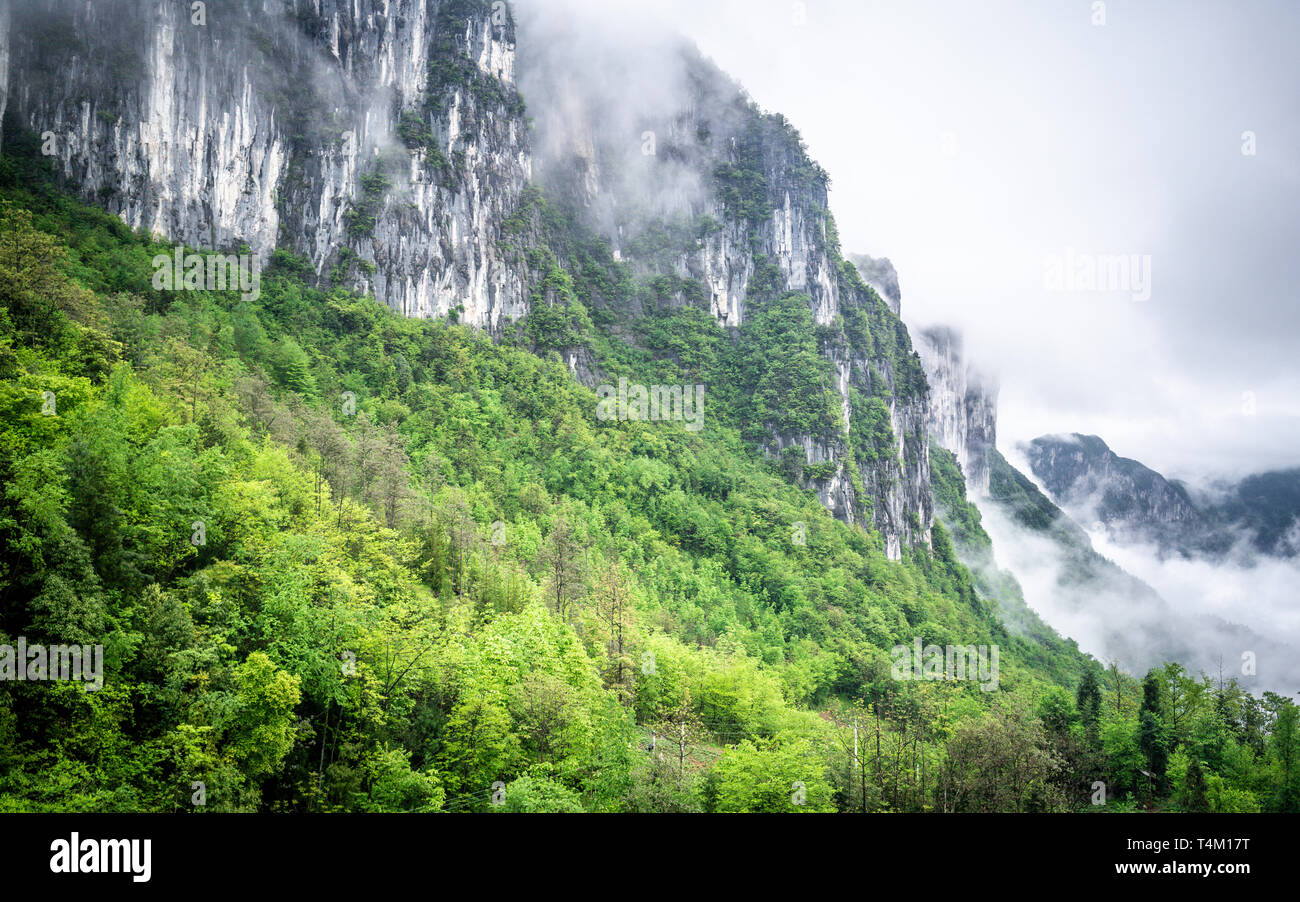 Mufu Grand Canyon montagne scogliere nel mezzo di nuvole e nebbia verde bosco in Enshi Hubei Cina Foto Stock