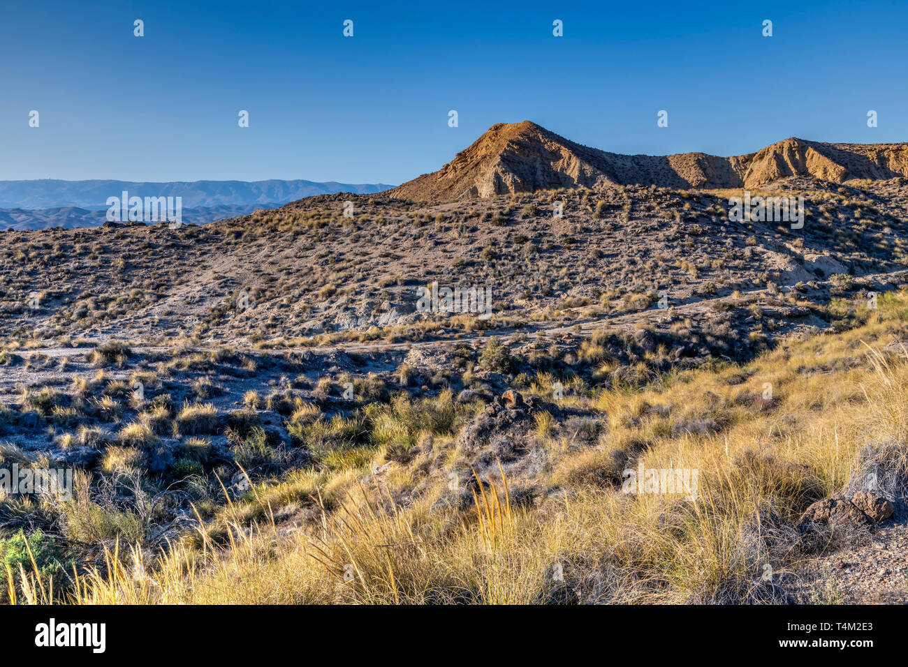 Tabernas, deserto, Almeria, Andalusia, Spagna Foto Stock