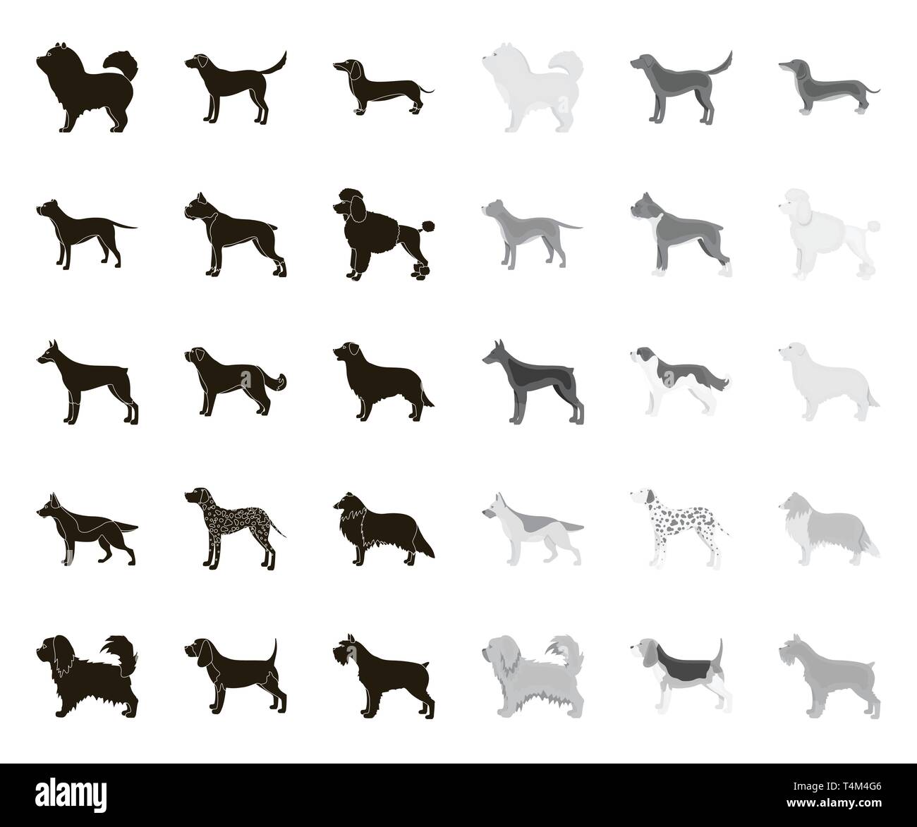 Animale,beagle,bernard,nero.mono,boxer,razza,allevamento razze,,bull,care,carnivori,chao-chao,raccolta,collie,concetto,bassotto,dalmata decorativi,,design,diversi,doberman,dog,l'elemento,eps,faccia,grigio, capelli,icona,immagine,isolato,labrador,logo,mammifero,mittelschnauzer,Gazzetta,PAW,PET,pikines,pit,poodle,pug,retriever,impostare,pastore,segno,il simbolo,vettore,web,bianco vettori vettore , Illustrazione Vettoriale