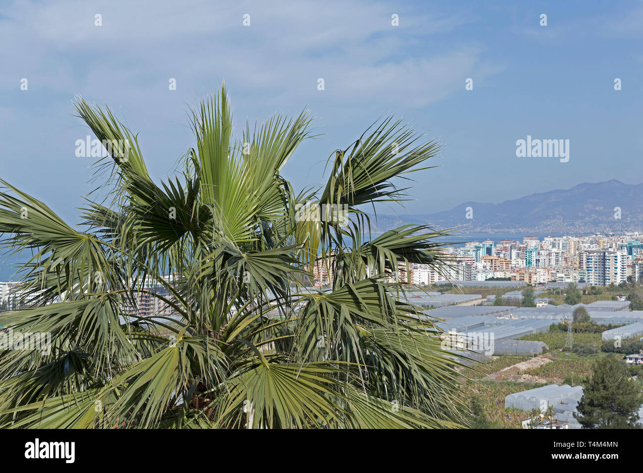 Kargicak con gli edifici ad alta di Mahmutlar in background, Alanya, Provincia di Antalya, Turchia Foto Stock