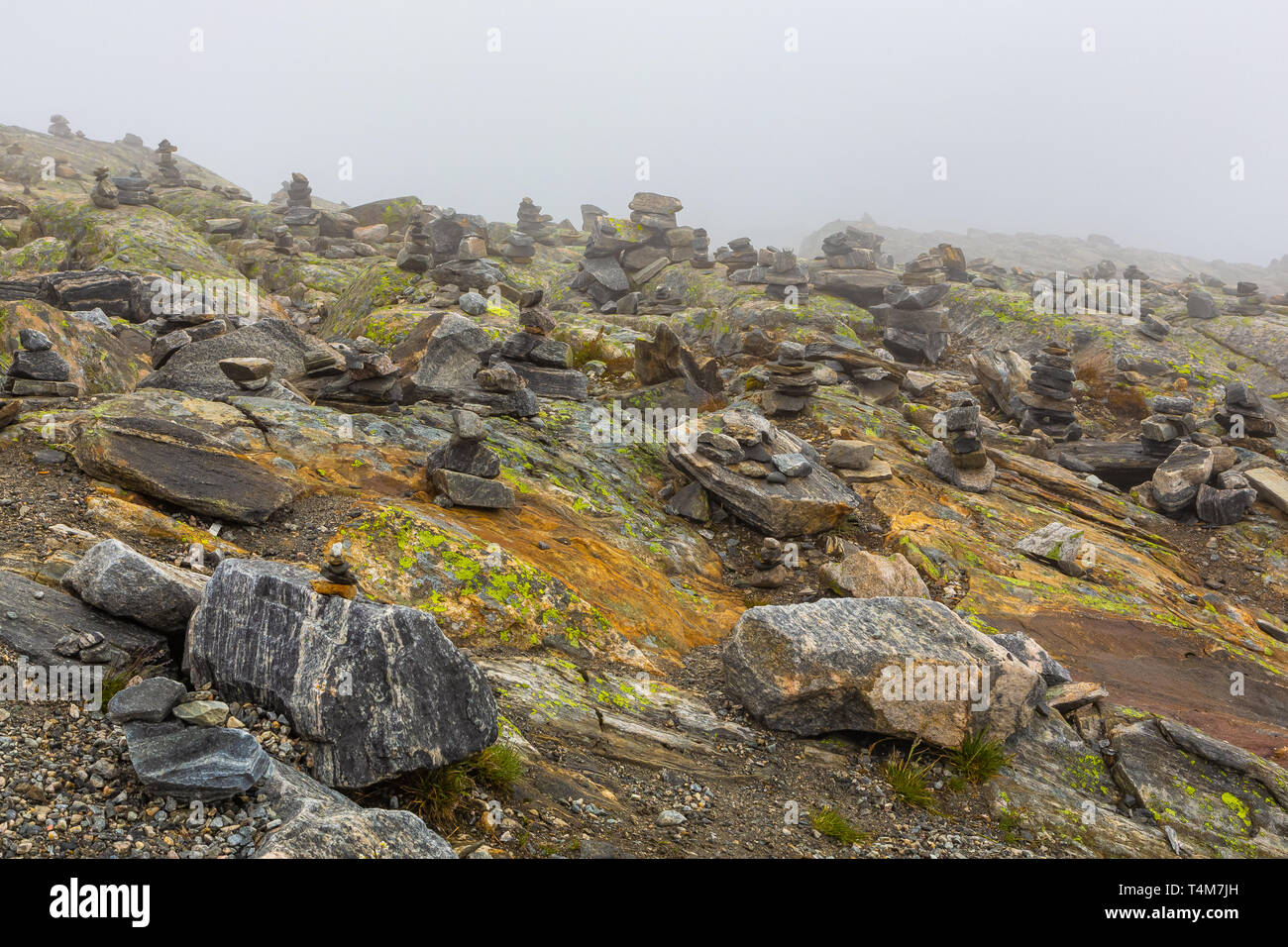 Noth Norvegia montagna d'estate nuvoloso scena tundra Foto Stock