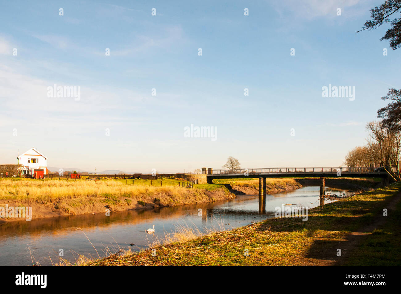 Cartford ponte a pedaggio e Casello con un cigno sul fiume Wyre a poco Eccleston con Larbreck Lancashire England Regno Unito Foto Stock