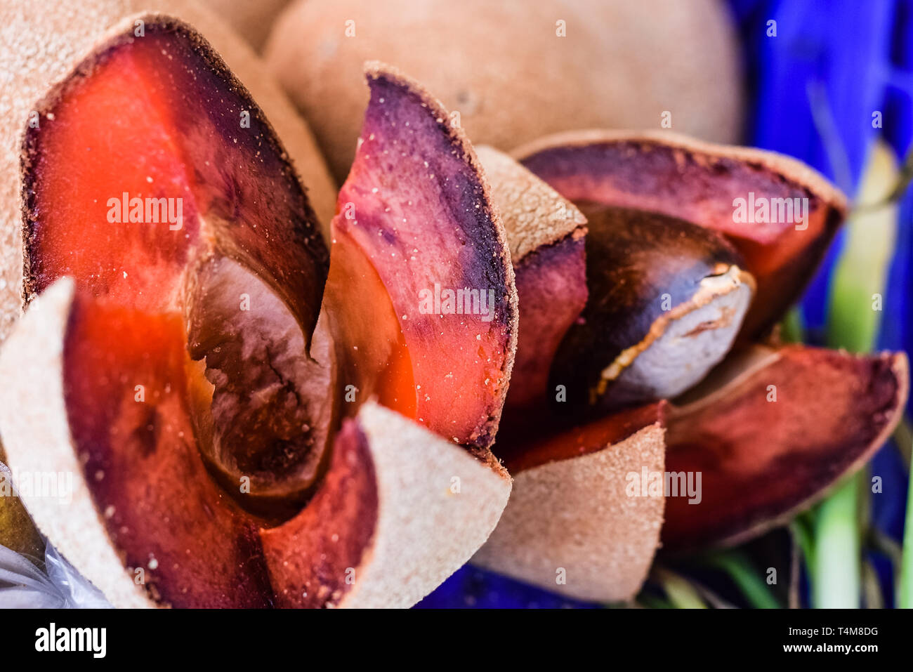 Aperto Mamey Sapote frutta sul mercato Foto Stock