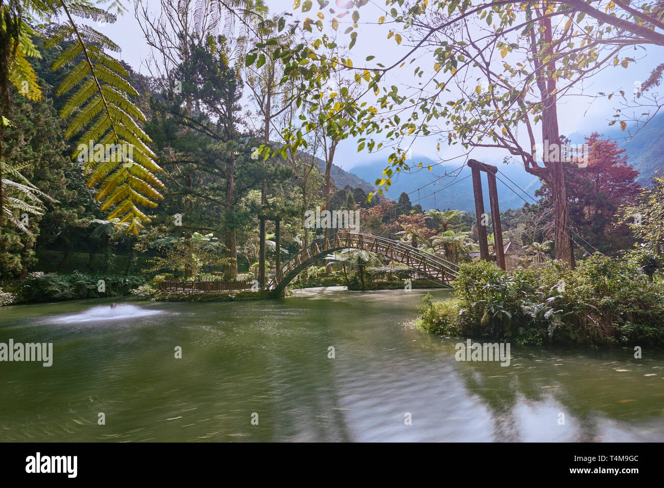 Bellissimo arco in legno ponte scenic all università stagno in Xitou Natura Istruzione Area a Nantou Lugu, Taiwan. Foto Stock