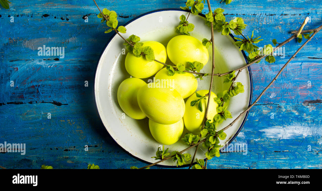 Giallo di uova di Pasqua e la primavera sbocciano i fiori fiori su una piastra Foto Stock