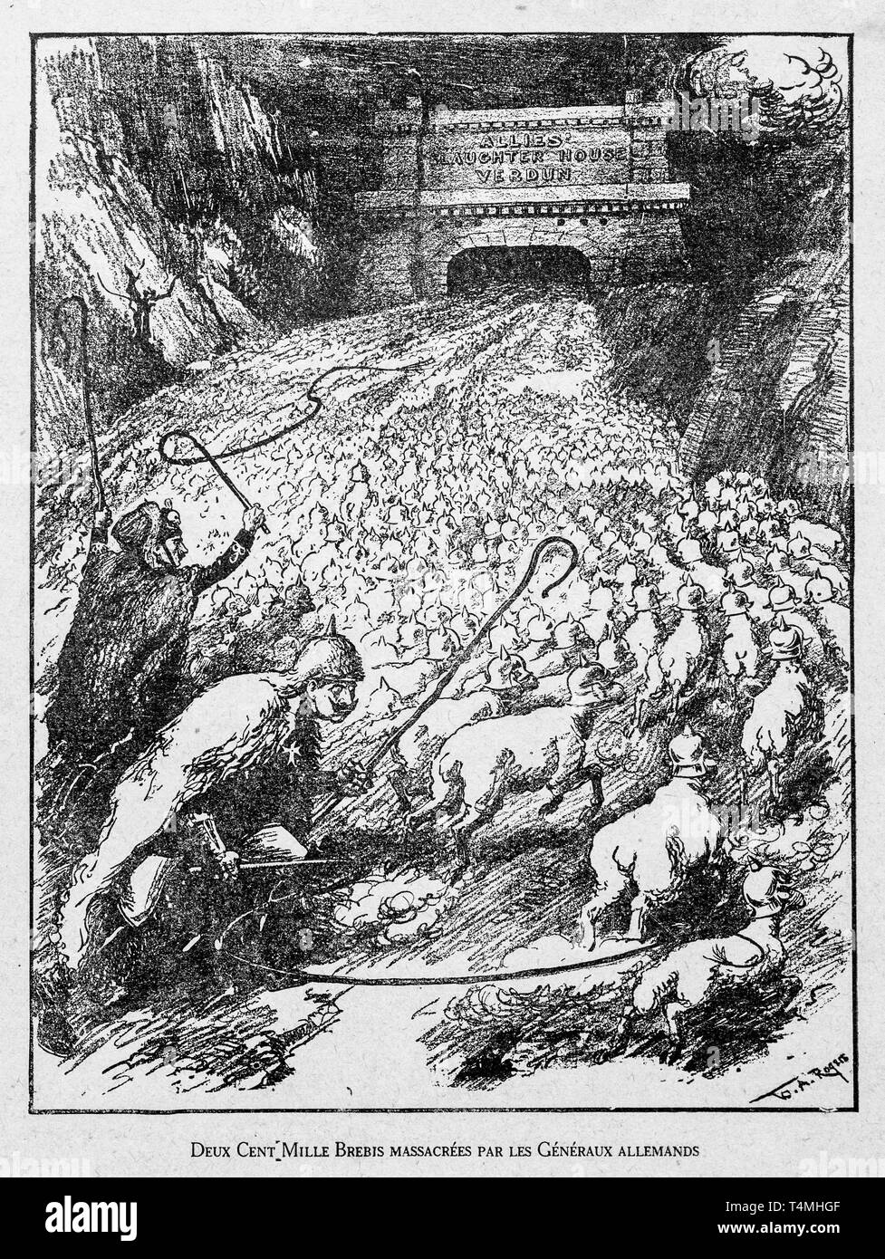 WW1 caricatura dalla American fumettista politico William Allen Rogers mostra prussiano Principe della Corona / Kronprinz Wilhelm von Preußen e Kaiser Wilhelm II la guida del gregge di pecore verso il campo di battaglia di Verdun Foto Stock