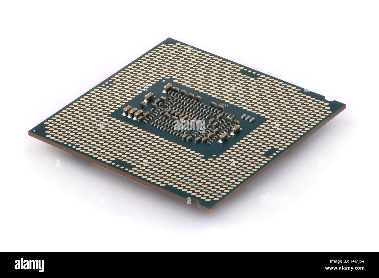 CPU : unità centrale di elaborazione, il processore per computer dal lato di fondo, contatto femmina isolati su sfondo bianco Foto Stock