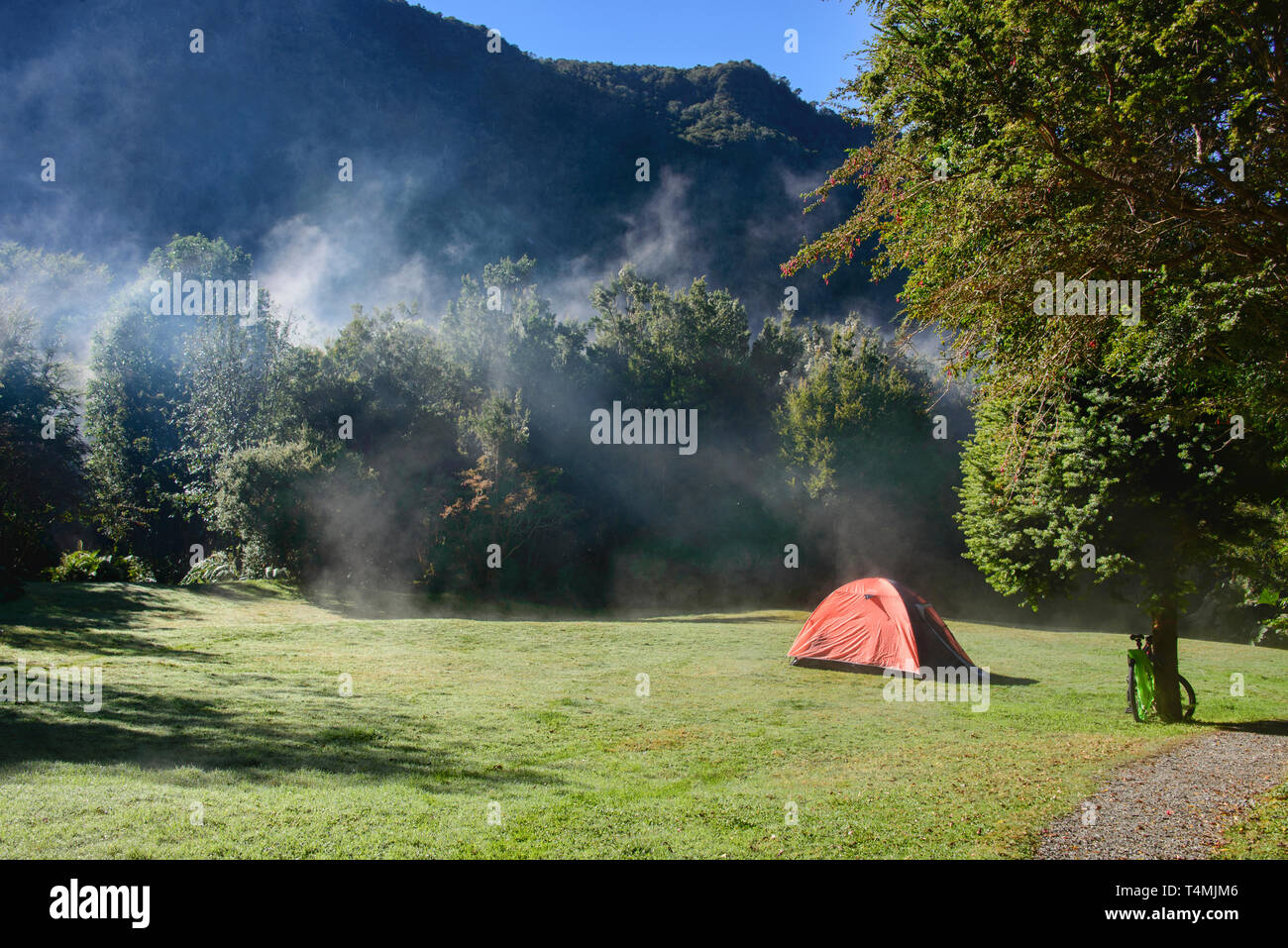 Nebbia di mattina al Camping Rio Gonzalez, Pumalin National Park, Patagonia, regione de los Lagos, Cile Foto Stock