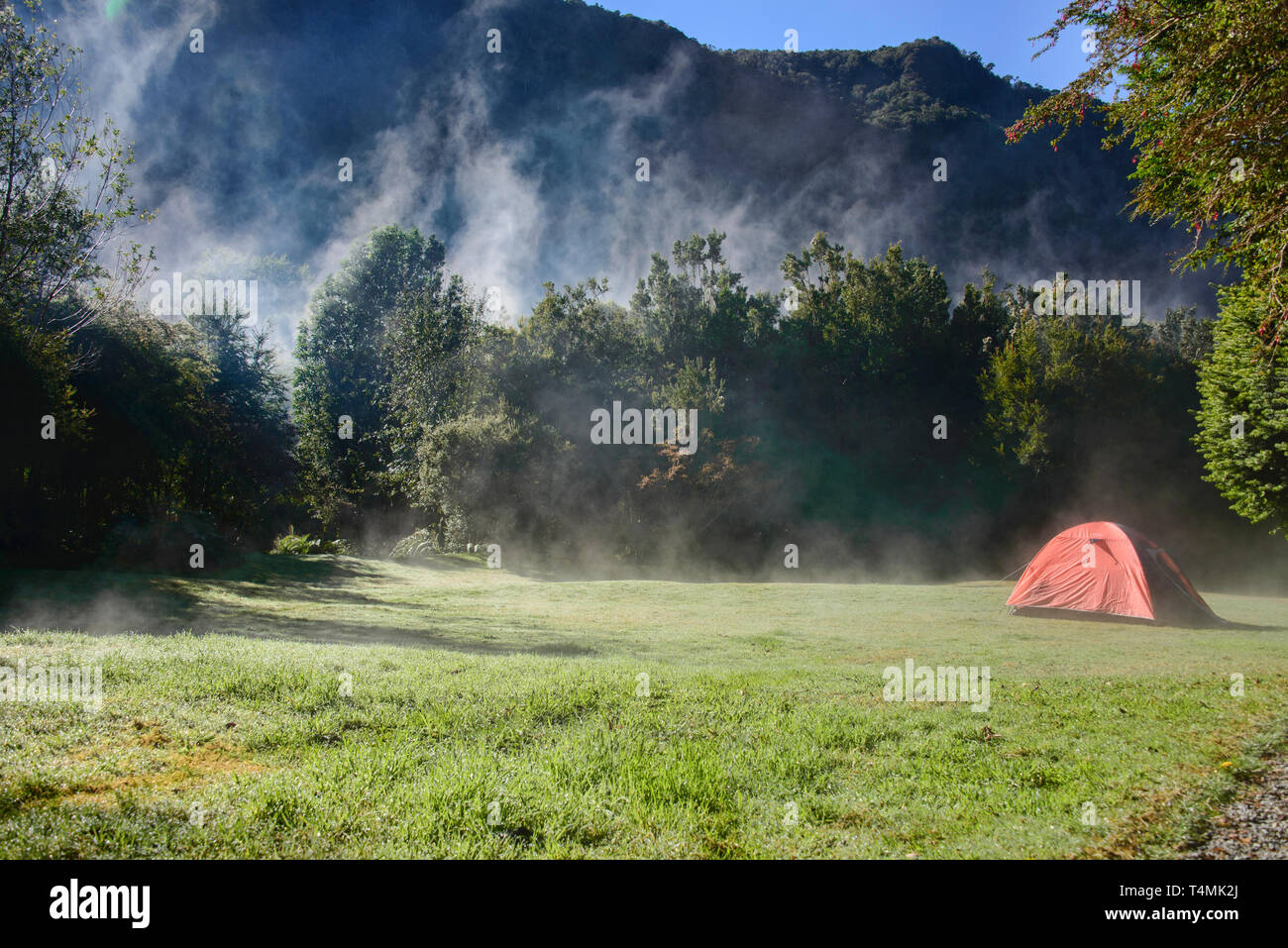 Nebbia di mattina al Camping Rio Gonzalez, Pumalin National Park, Patagonia, regione de los Lagos, Cile Foto Stock