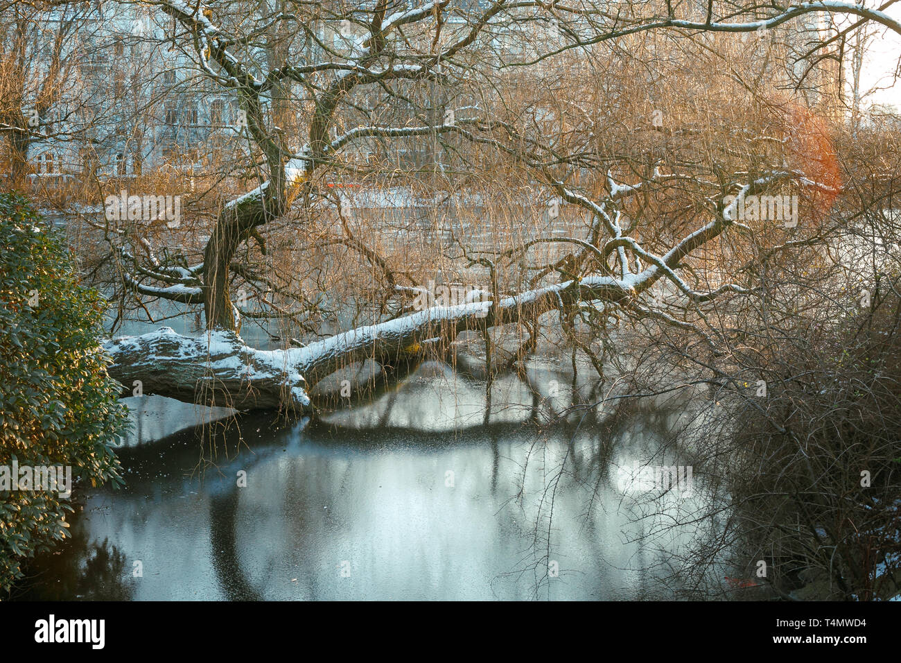 Inverno Schrevenpark Kiel Foto Stock