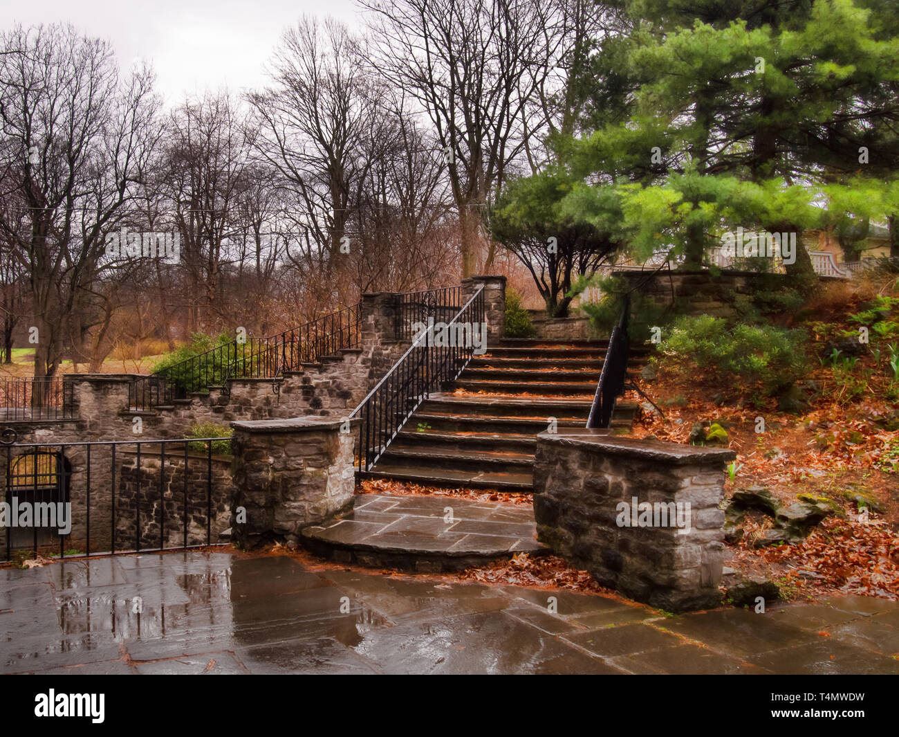 Scale per un giardino formale in un pomeriggio piovoso Foto Stock