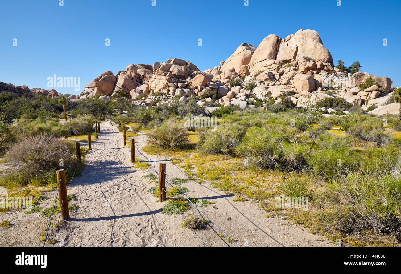 Sentiero panoramico sentiero nel Parco nazionale di Joshua Tree, California, Stati Uniti d'America. Foto Stock