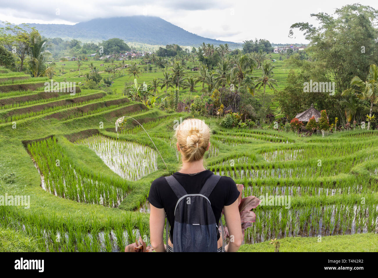 Caucasian turista femminile che indossa il piccolo zaino guardando bella verdi campi di riso e terrazze di Jatiluwih sull isola di Bali Foto Stock