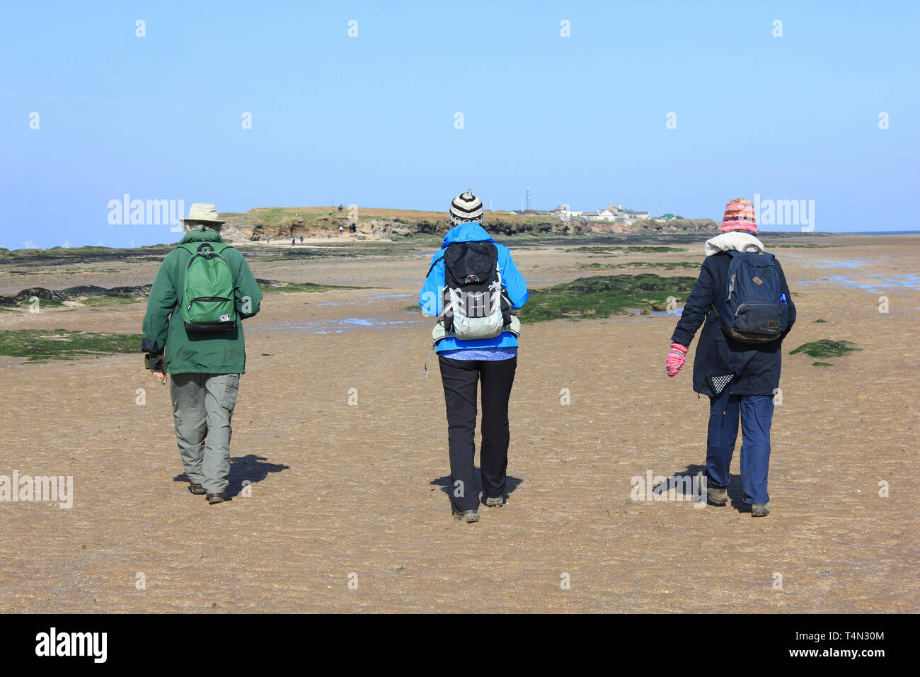 Walkers avvicinando medio Eye - parte di tre isole nell'isola Hilbre arcipelago, Dee Estuary, REGNO UNITO Foto Stock