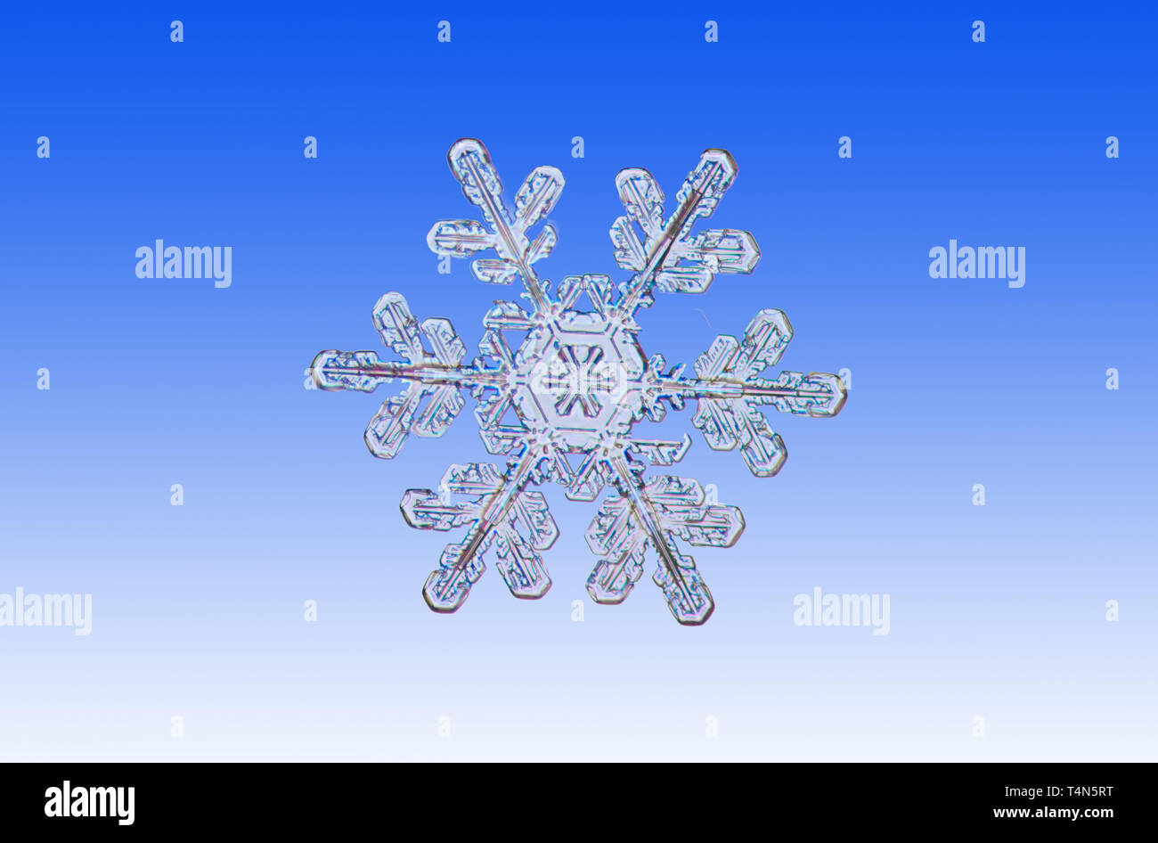 Nord America; Stati Uniti; Alaska; Tanana Valley; inverno; neve; il simbolo del fiocco di neve Foto Stock