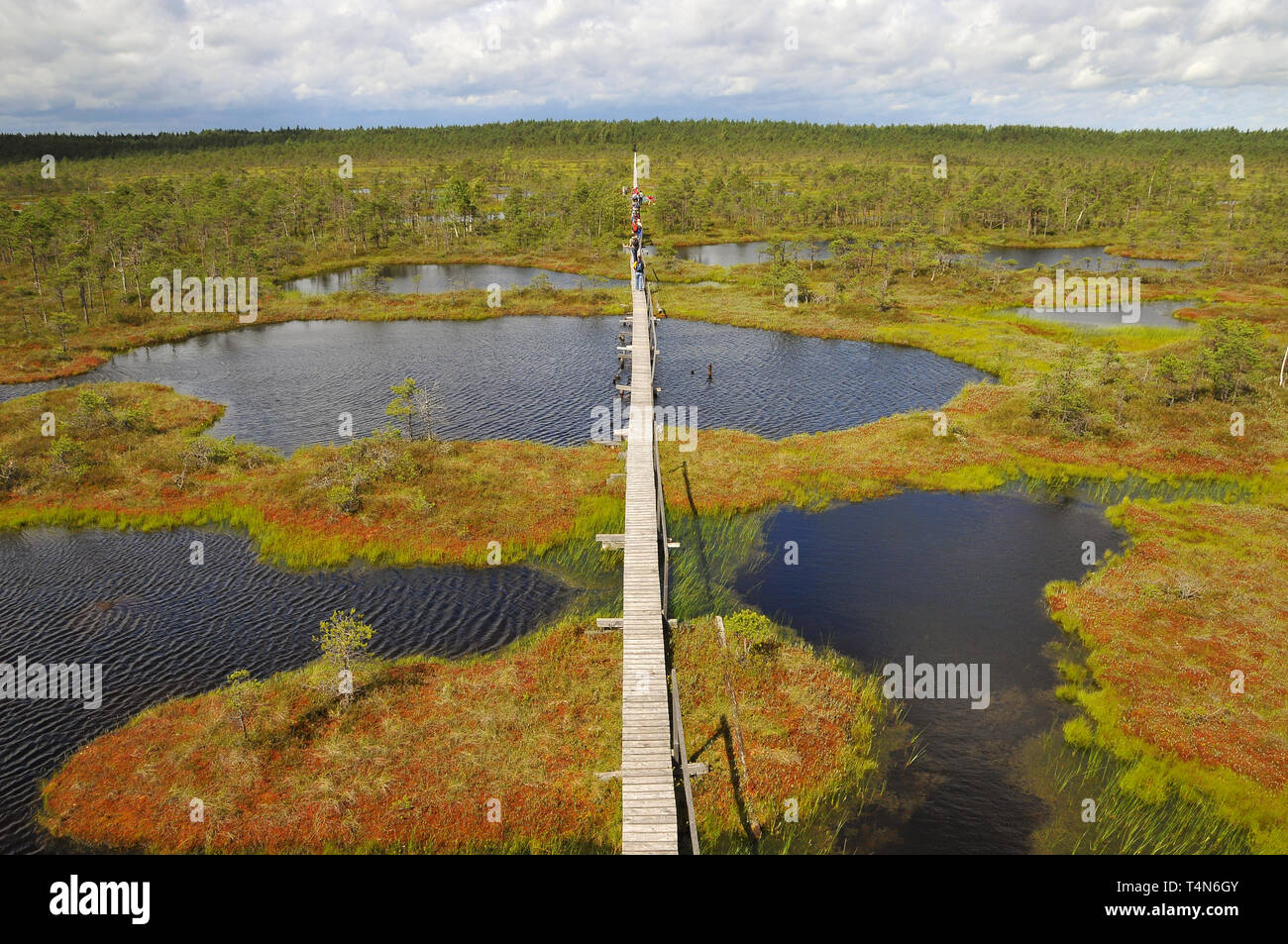 Soomaa National Park, Estonia. Soomaa Nemzeti Park, Észtország. Foto Stock