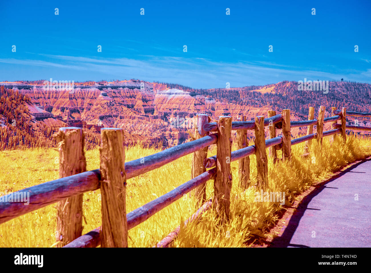 Log in legno recinto che conduce lungo il sentiero al canyon di punto di vista al di là/ Foto Stock