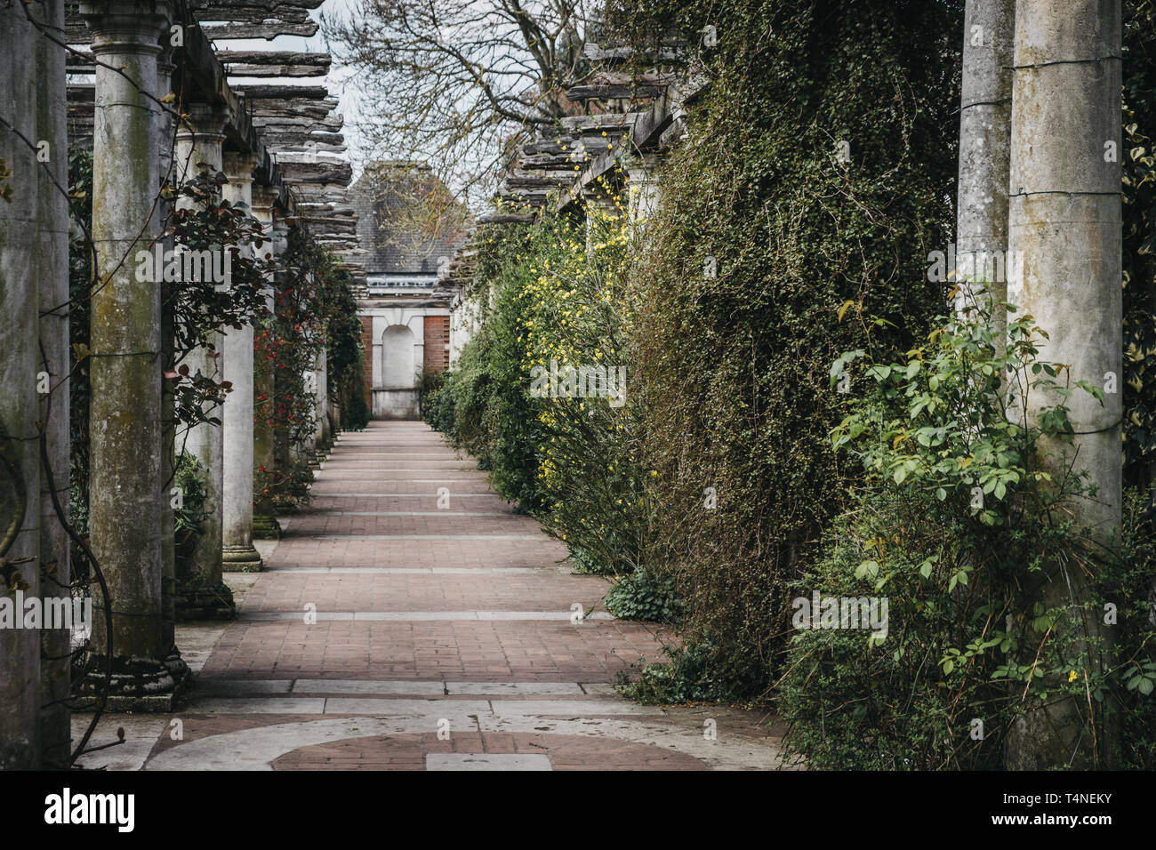 London, Regno Unito - 11 Aprile 2019: la collina del giardino e pergola di Golders Green, Londra, Regno Unito. La zona è stata aperta al pubblico nel 1963 come l'Hill Garden. Foto Stock